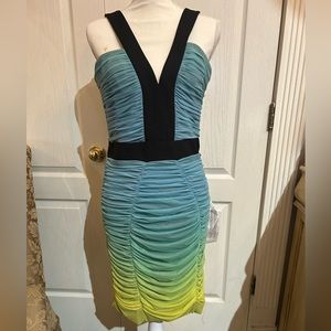 Dress the Population Ombré Knee Bodycon Dress